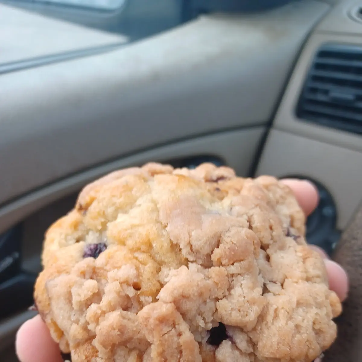Blueberry Muffin
