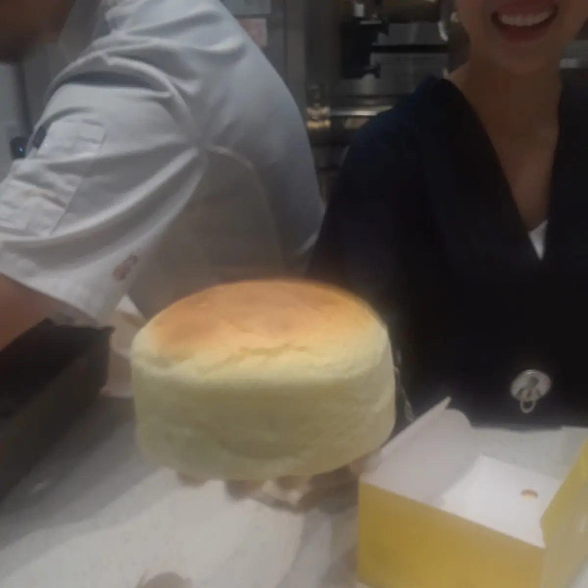 Jiggly Cheese Cake