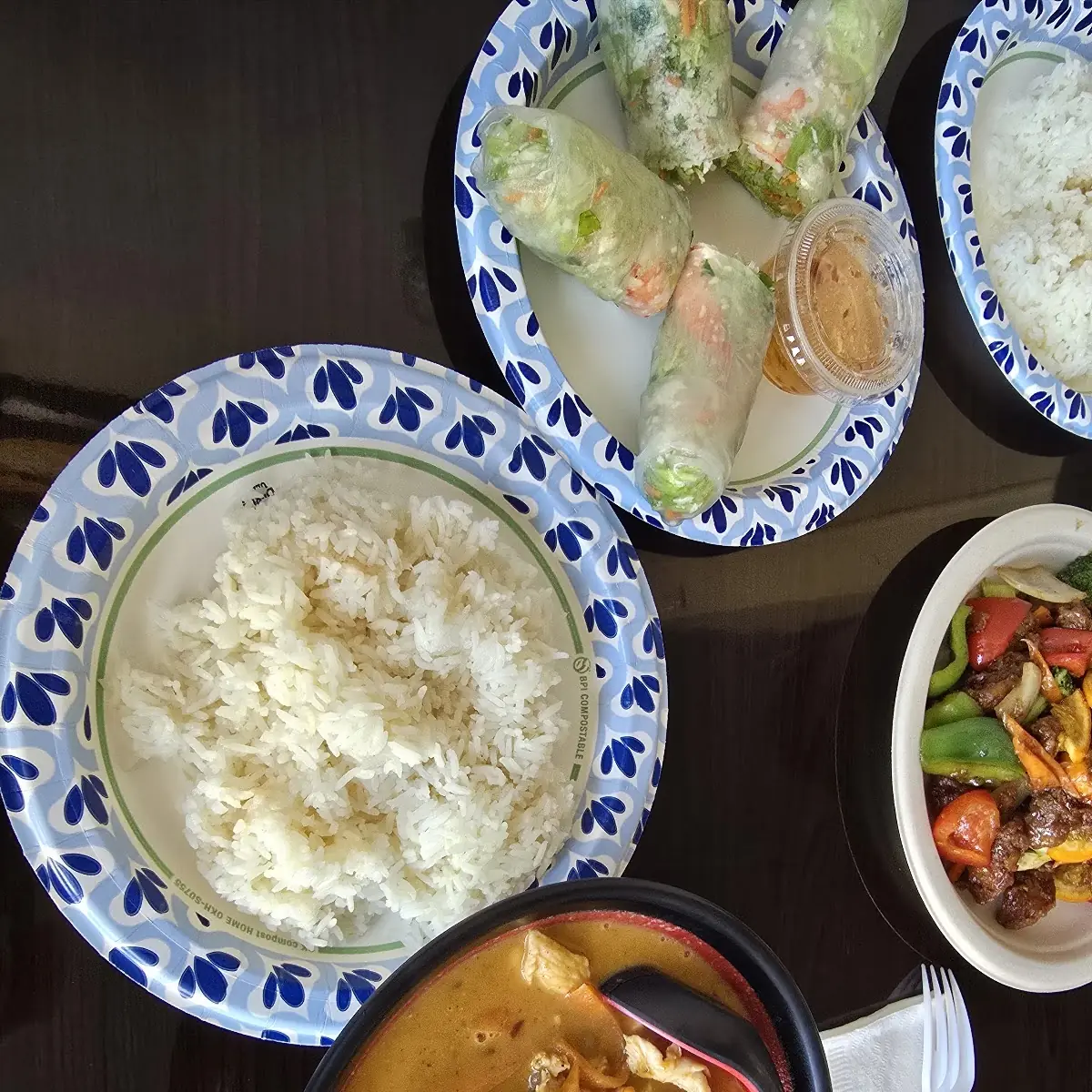Massaman Curry and Spring Roll