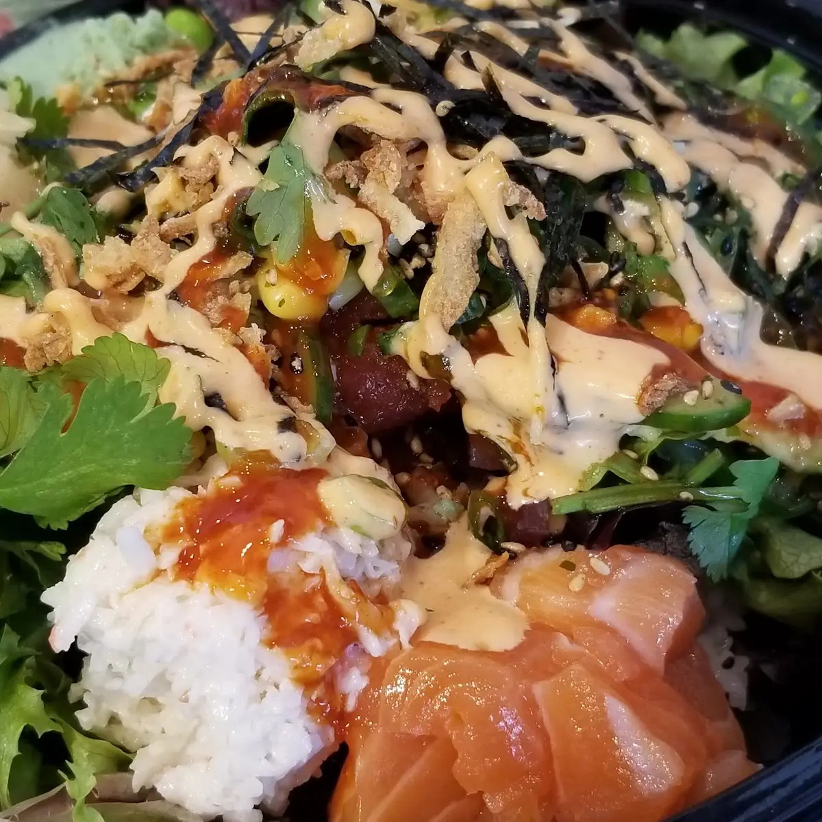 Regular 3 Scoops Poke Bowl