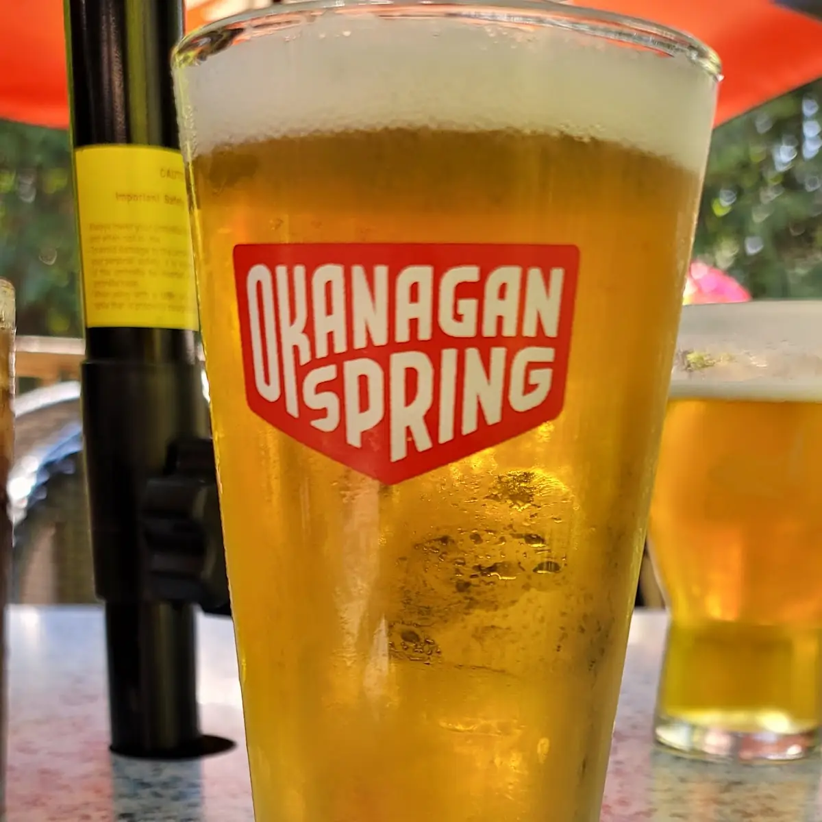 Okanagan Springs Pale Ale, Hummingbird Pub & Family Restaurant