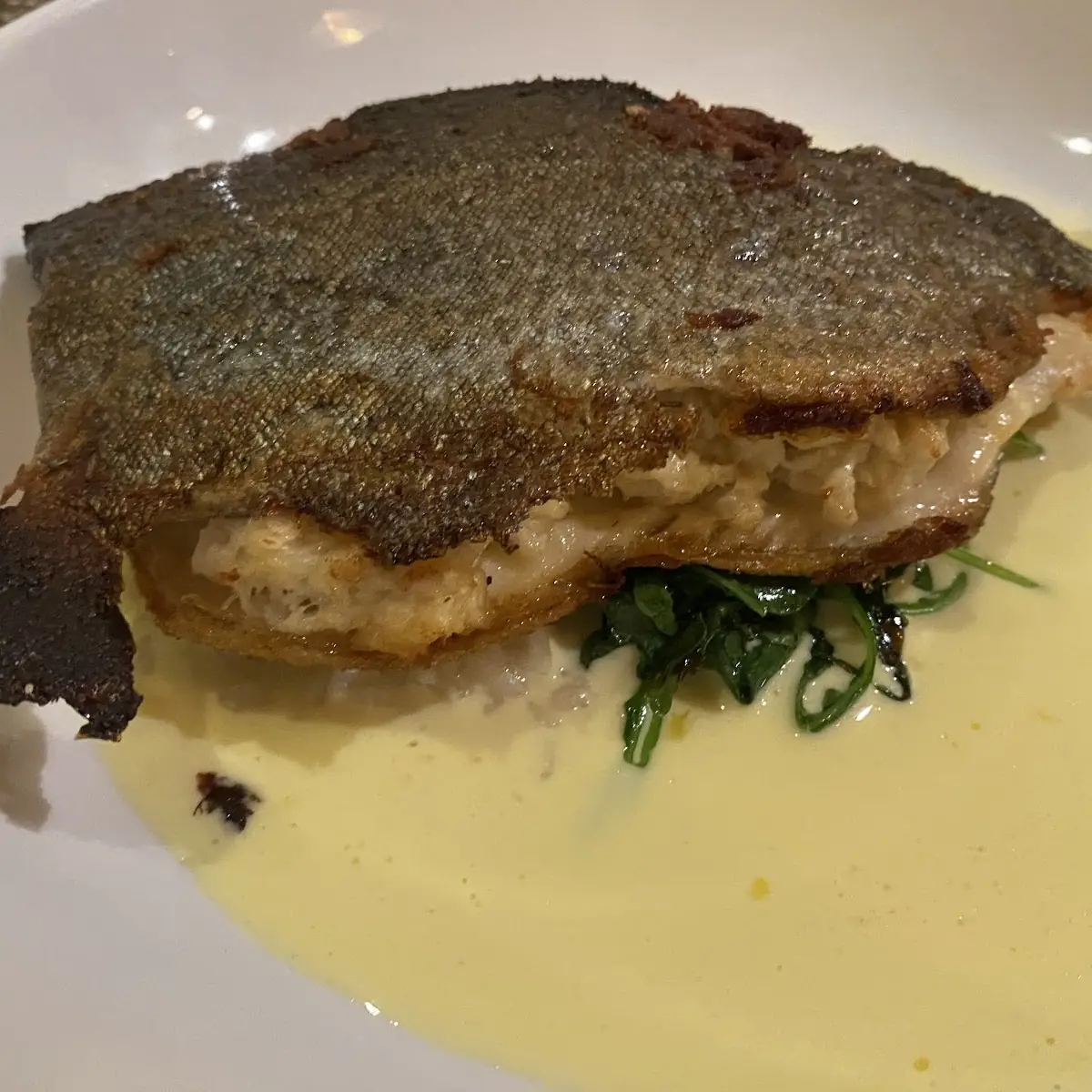 Sea Bass