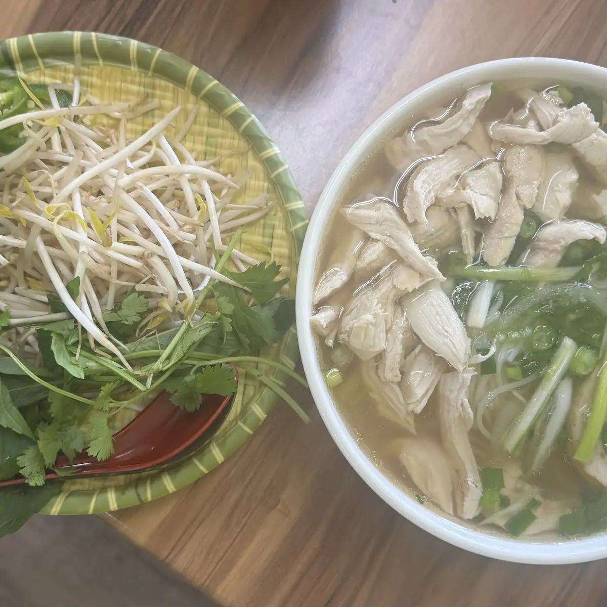 Chicken Pho Pho GA Soup
