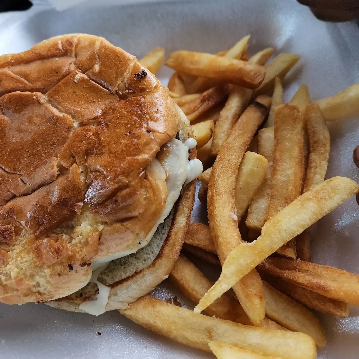 Burger and Fries