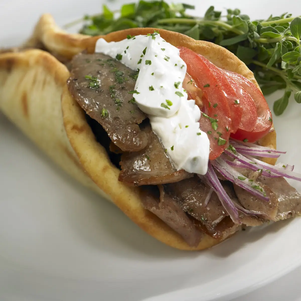 Gyro Sandwich