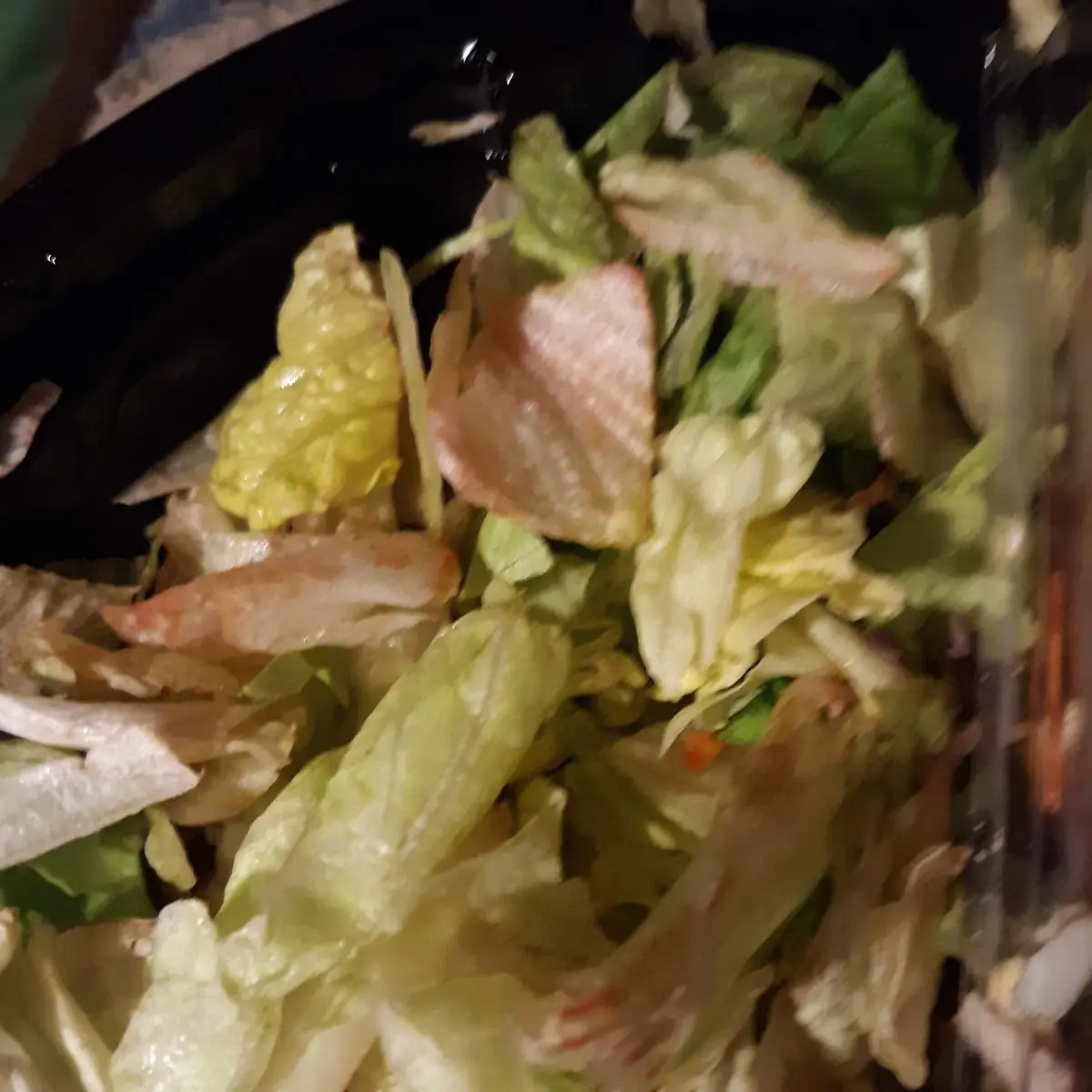 Garden Salad