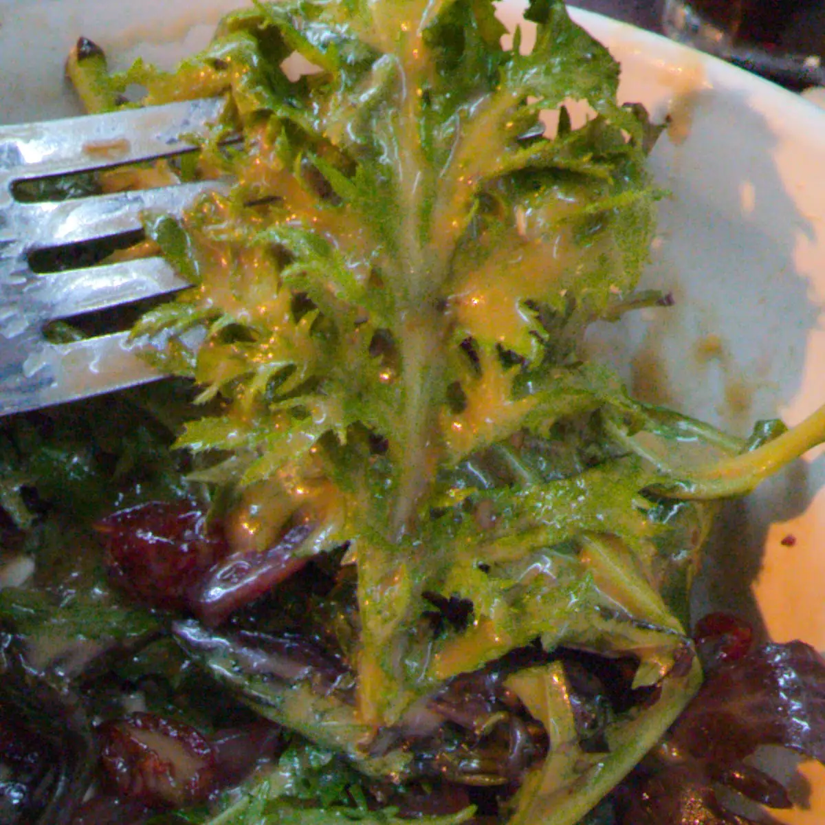 Over-Dressed Artisan Greens Salad