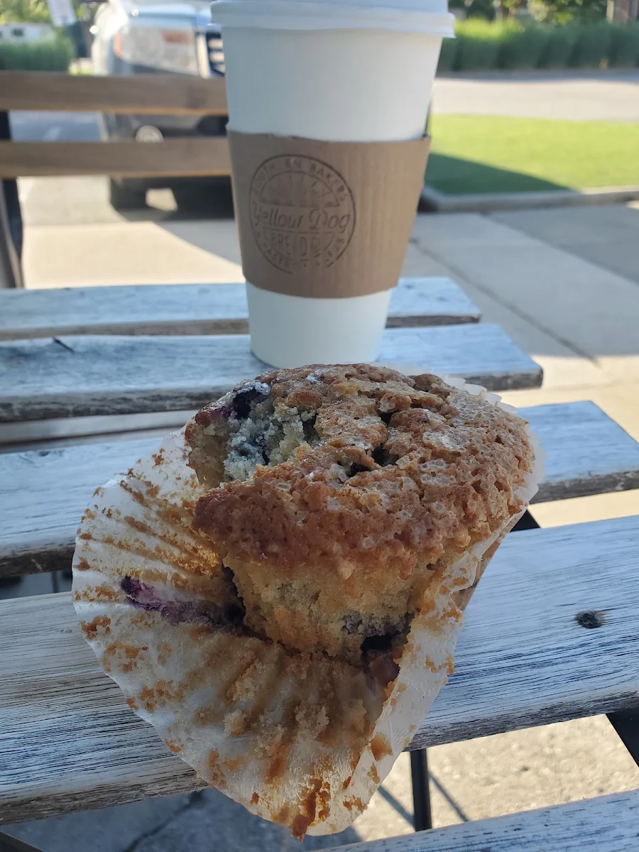 Blueberry Muffin