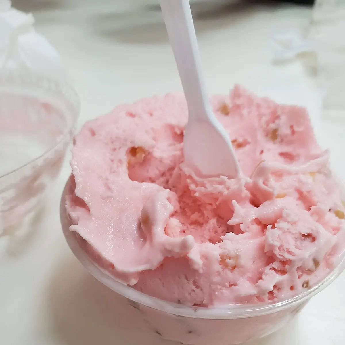 Pine Nut Flavored Ice Cream