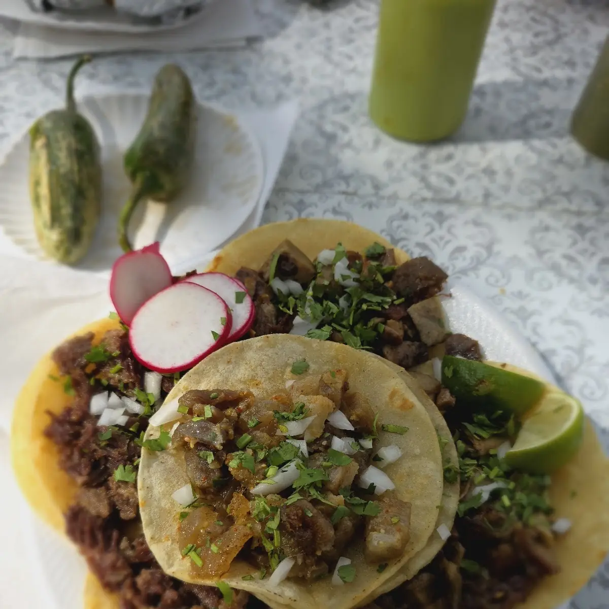 Steak Tacos Mexican Style