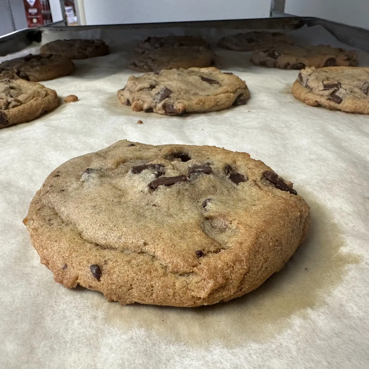 Chocolate Chip Cookie