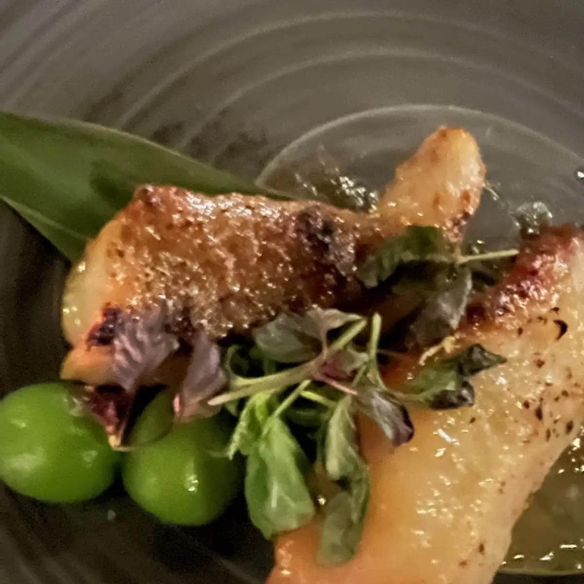 Miso Black Cod
