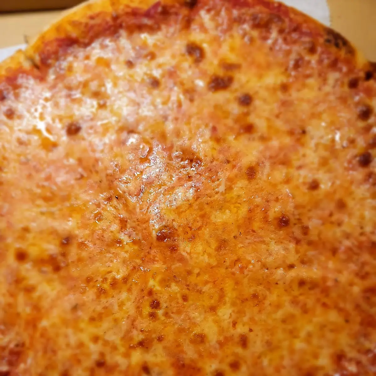 Extra Cheese Pizza