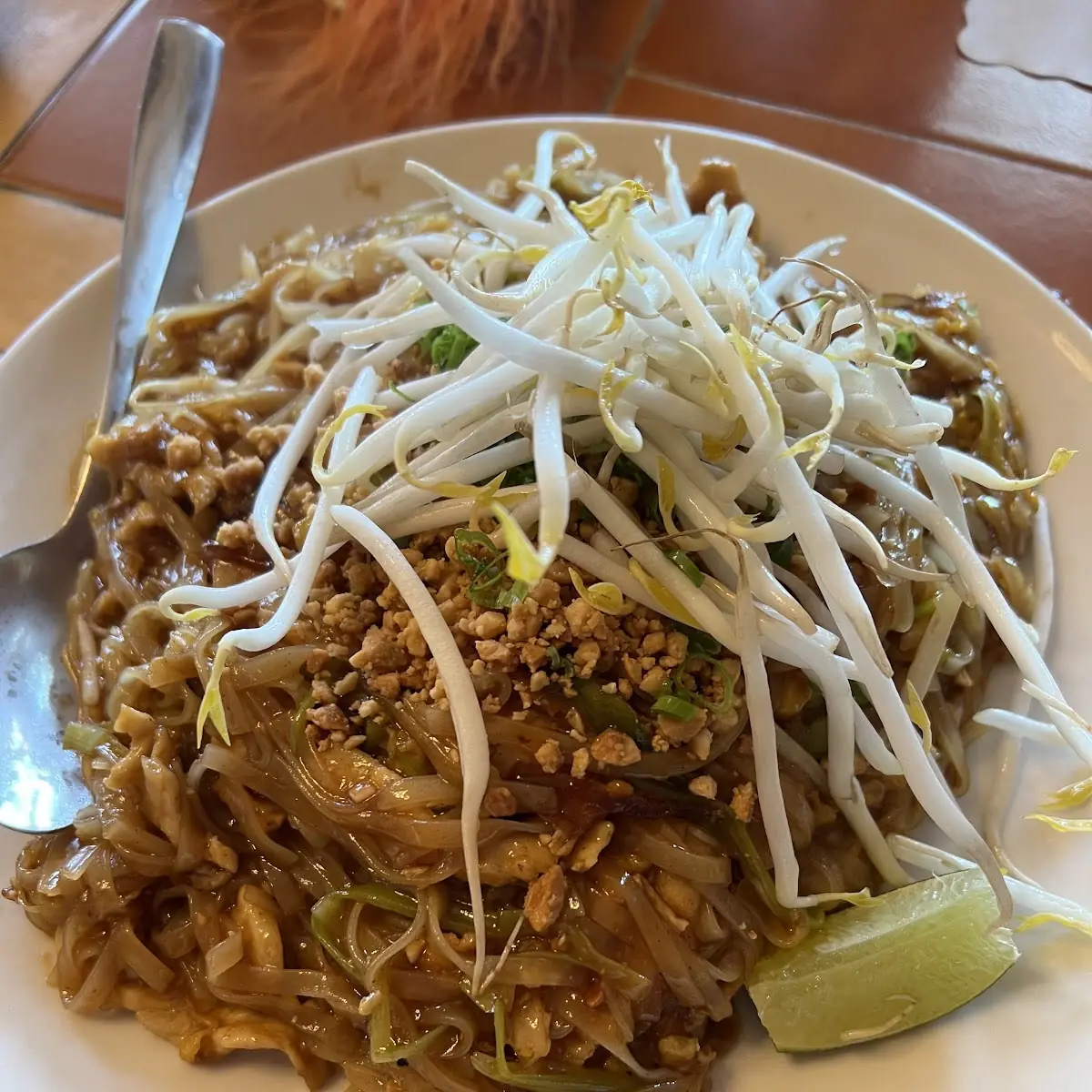 Pad Thai Chicken