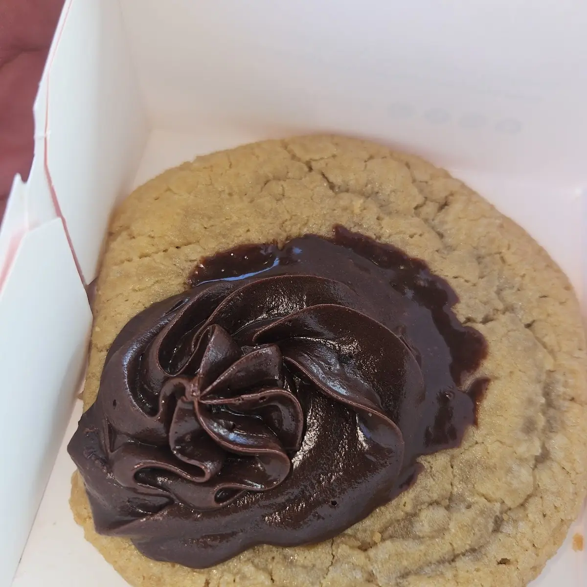 Peanut Butter Cookie