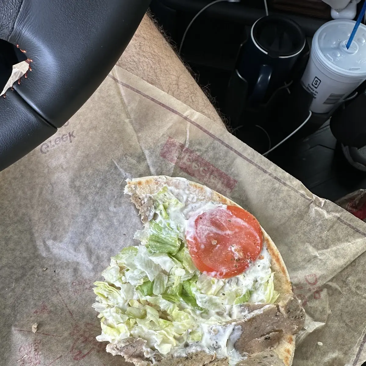 Gyro Sandwich