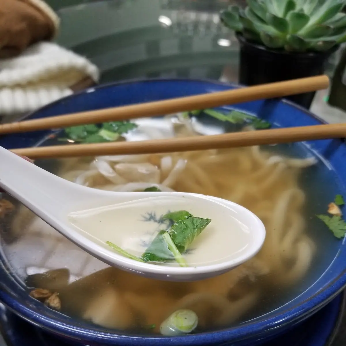 Chicken Udon