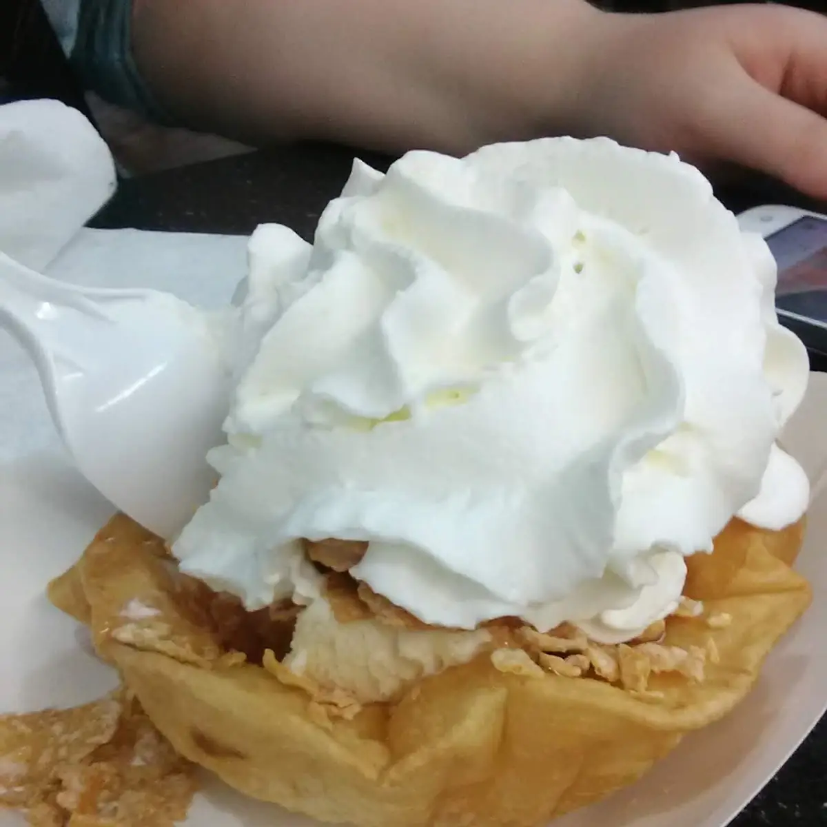 Fried Ice Cream