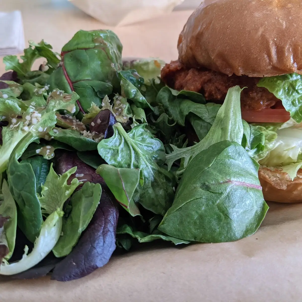 Crispy Chicken Sandwich and Salad