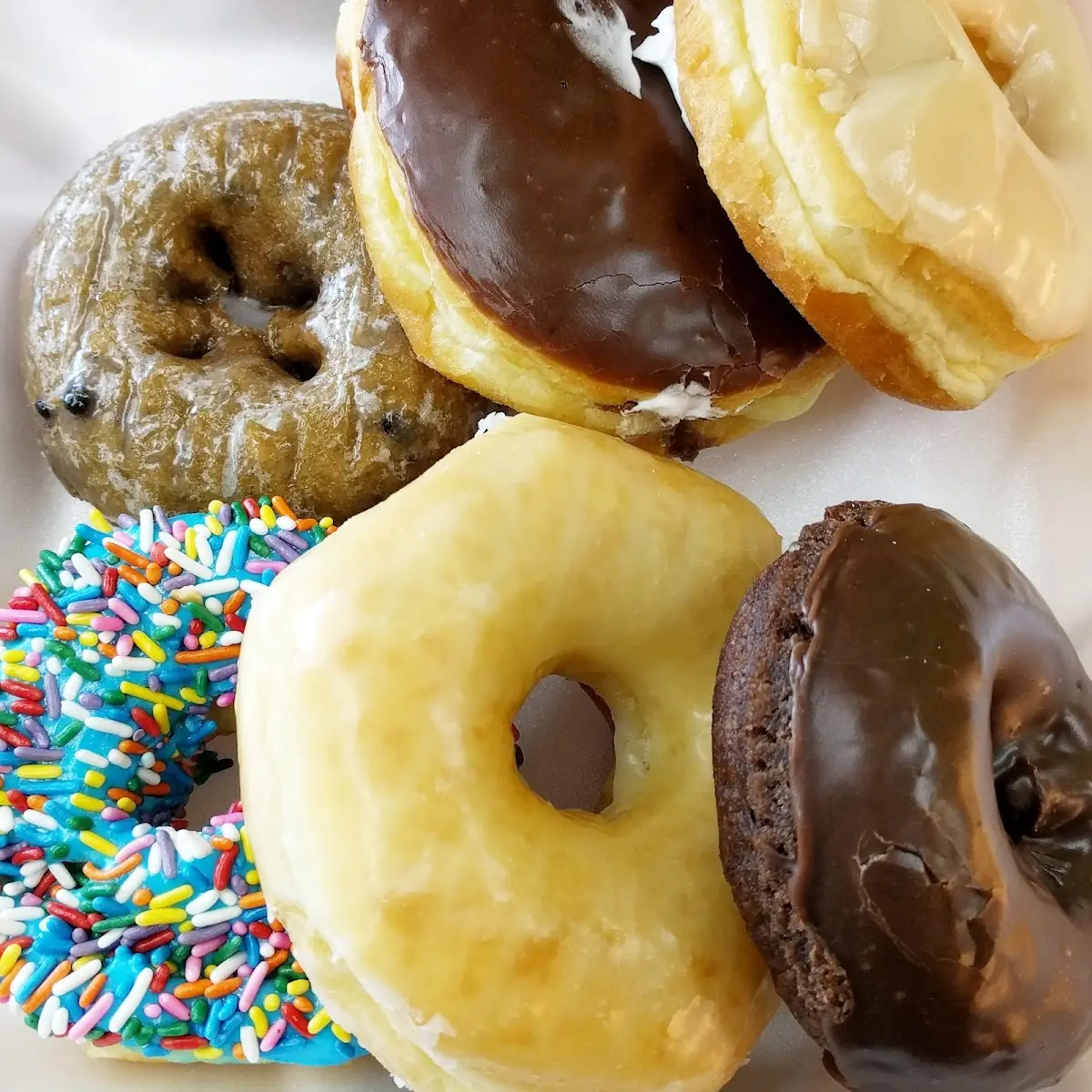 Doughnut