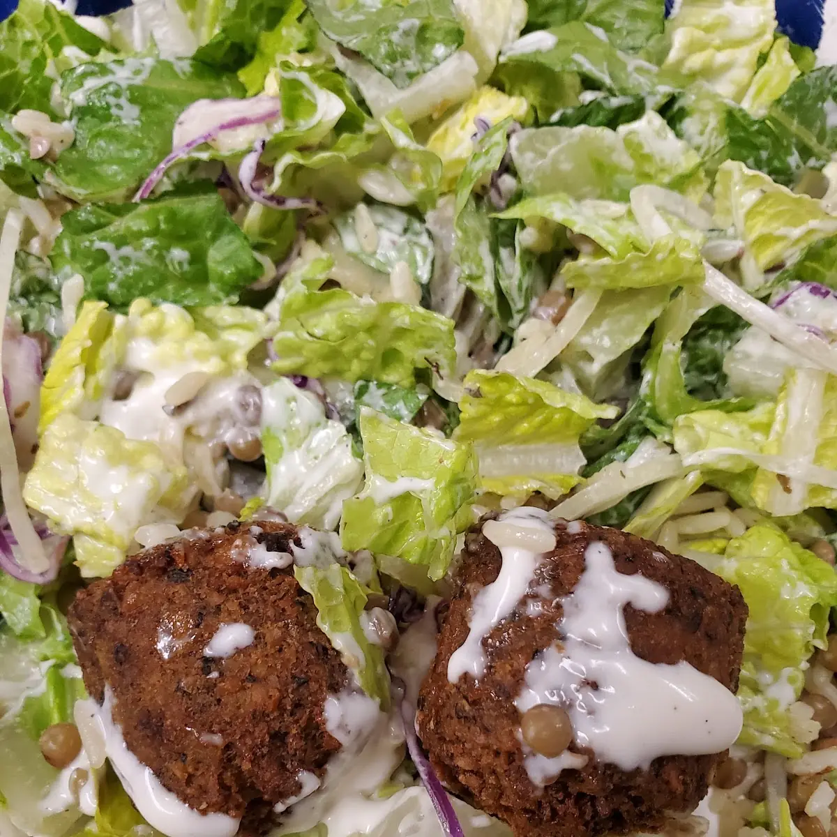 Garden Salad