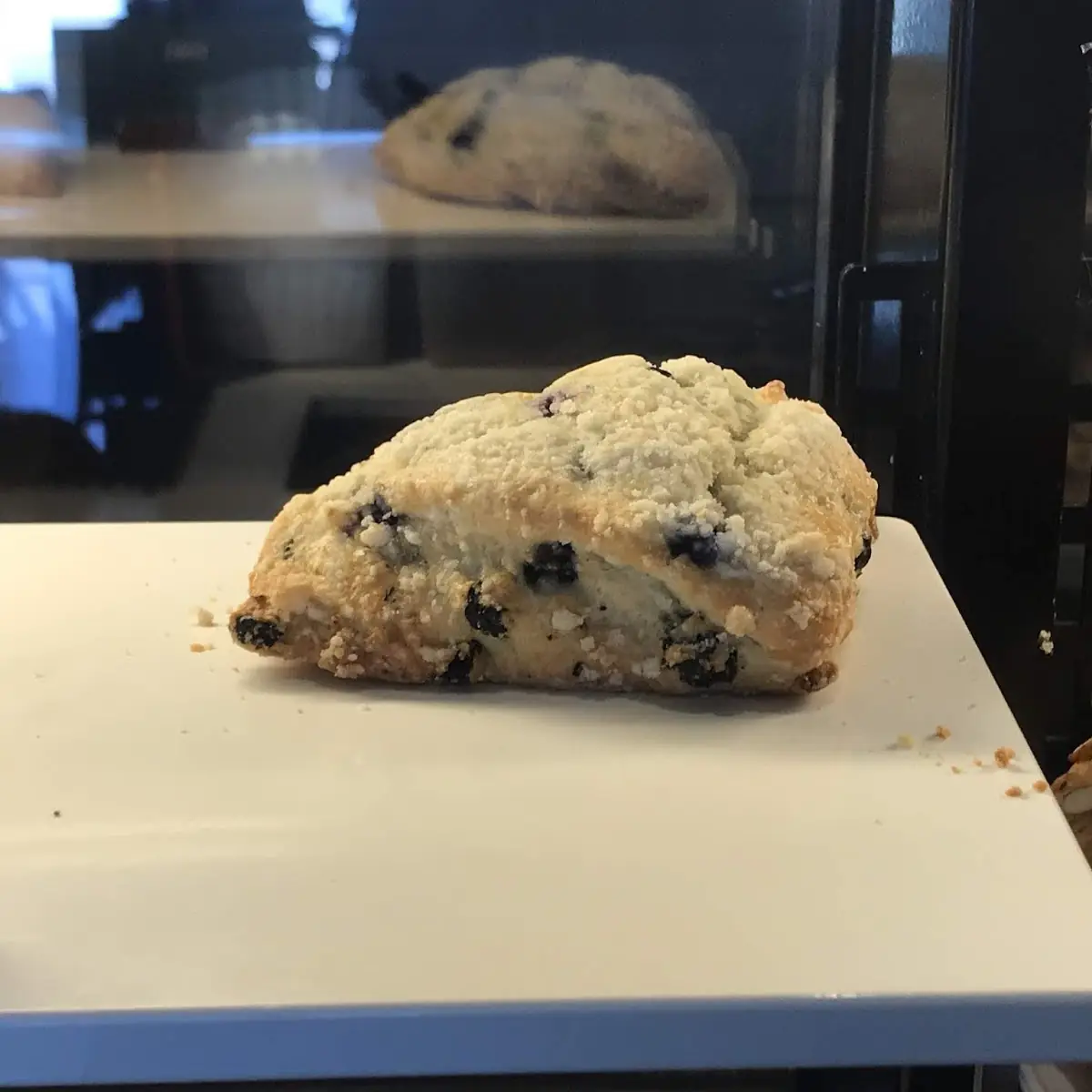 Petite Vanilla Bean Scone