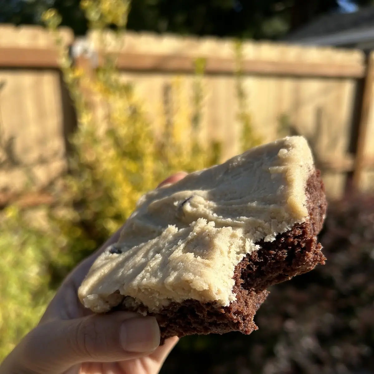 Peanut Butter Cup