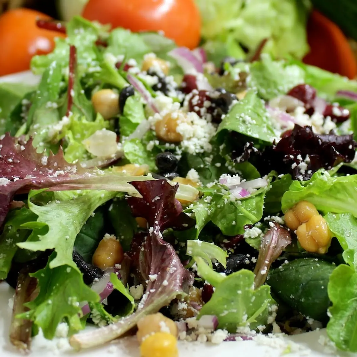 Fresh Mixed Greens Salad