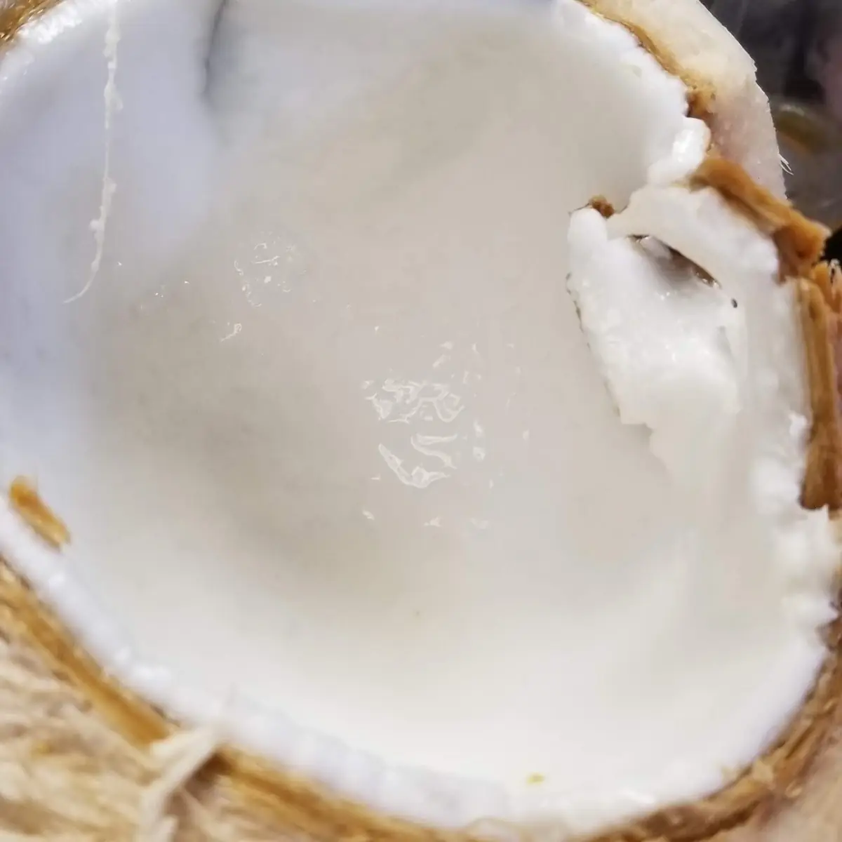 Young Coconut