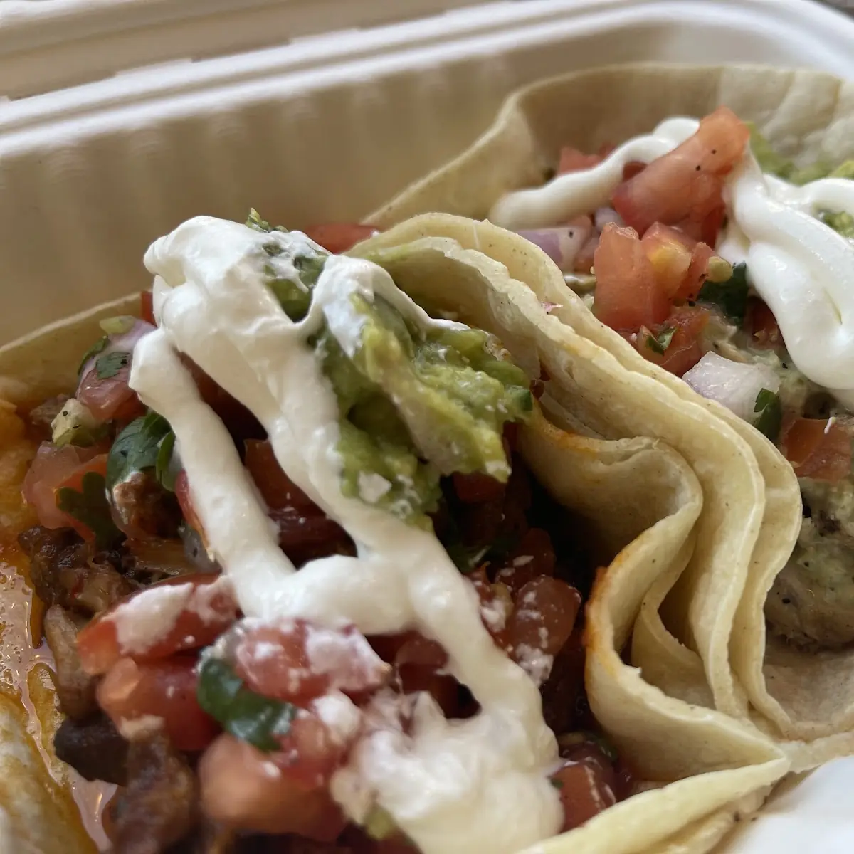 Chicken and Carnitas Tacos