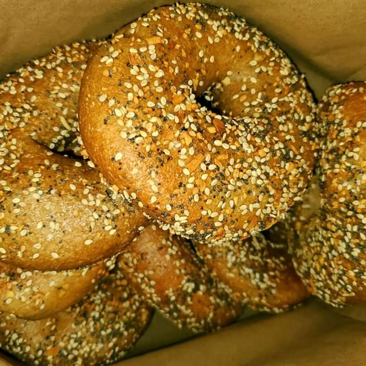 Whole Wheat Everything Bagels
