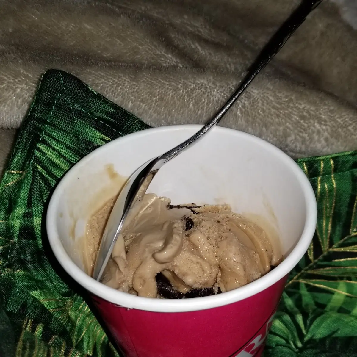 Chocolate Ice Cream