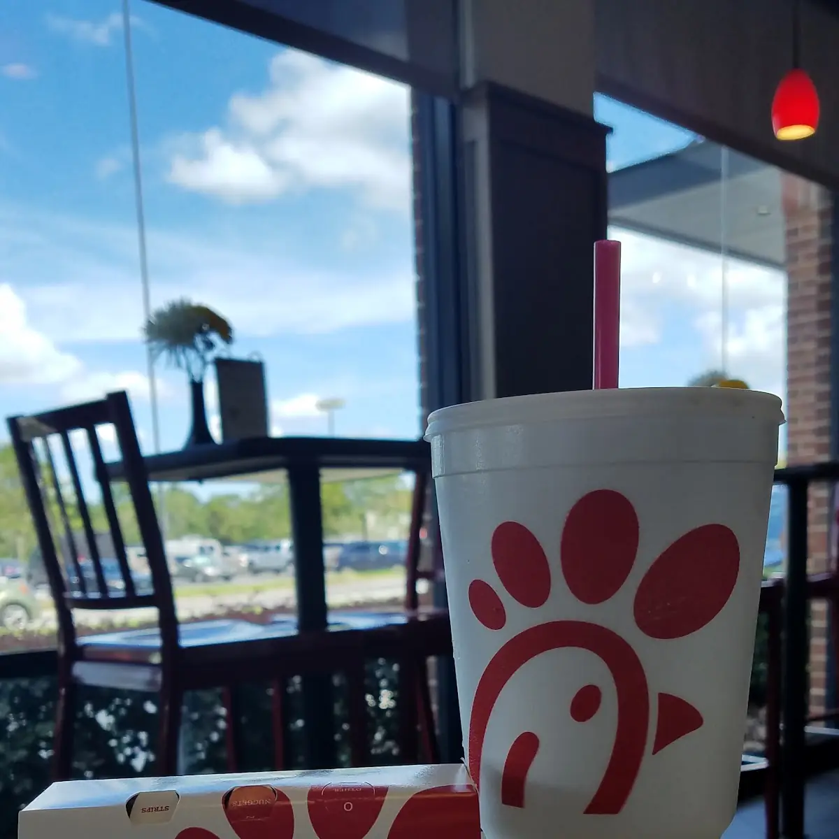 Chicken Strips and Diet Dr Pepper