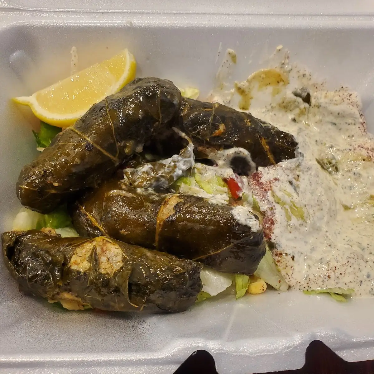 Stuffed Grape Leaves Meat