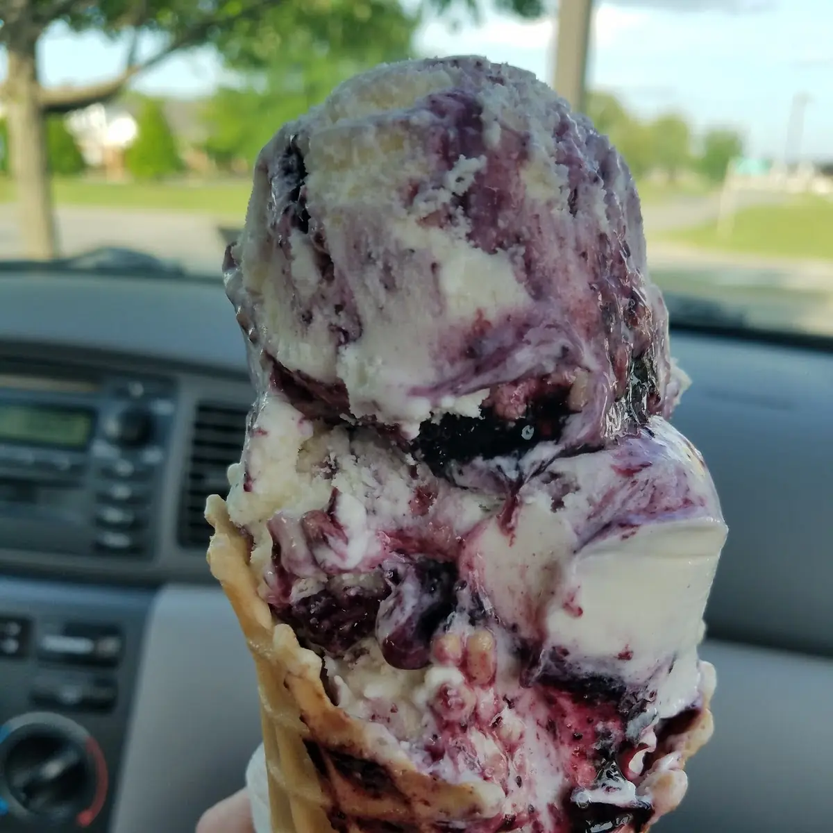 Blueberry Cobbler