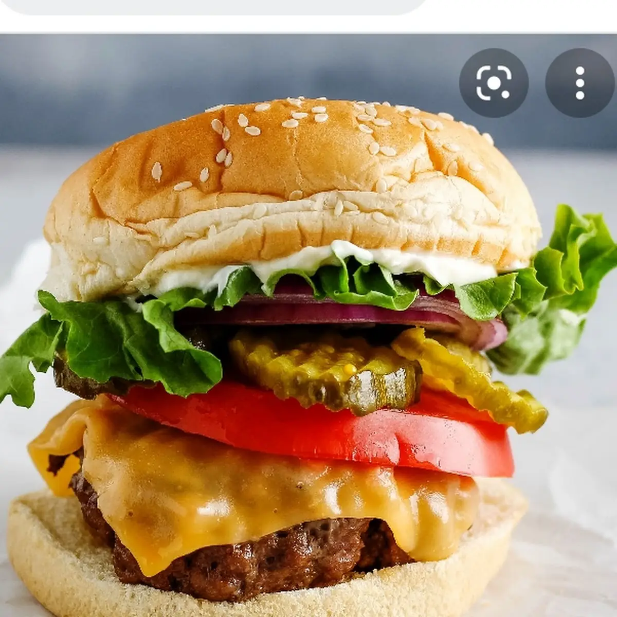 Double Cheeseburger