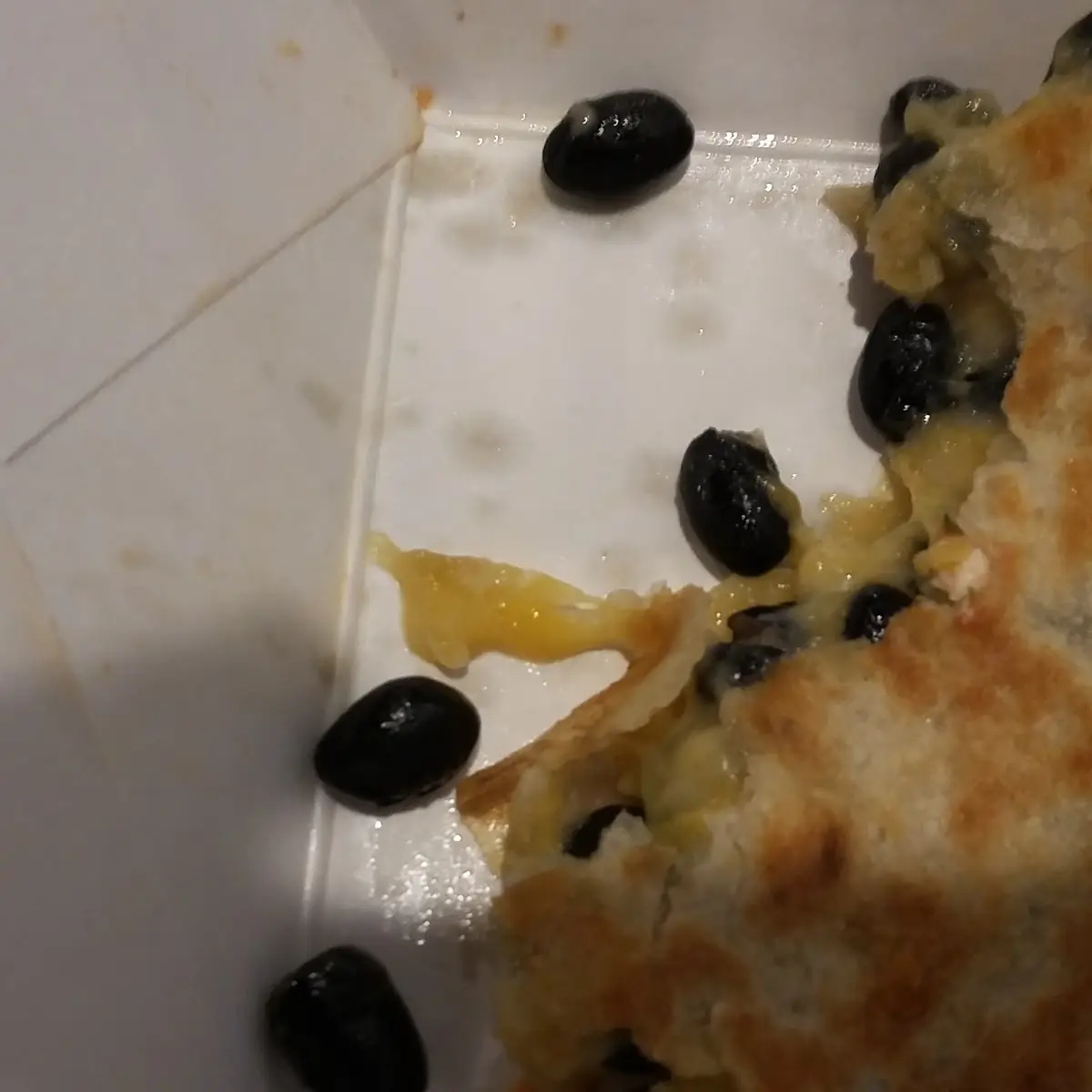 Black Bean and Cheese Quesadilla