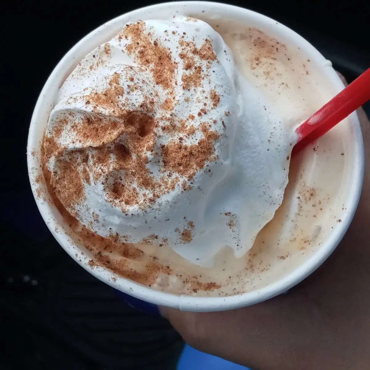 Pumpkin Pie Blizzard Treat