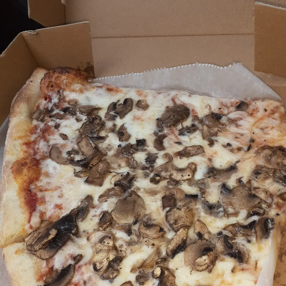 Mushroom Pizza