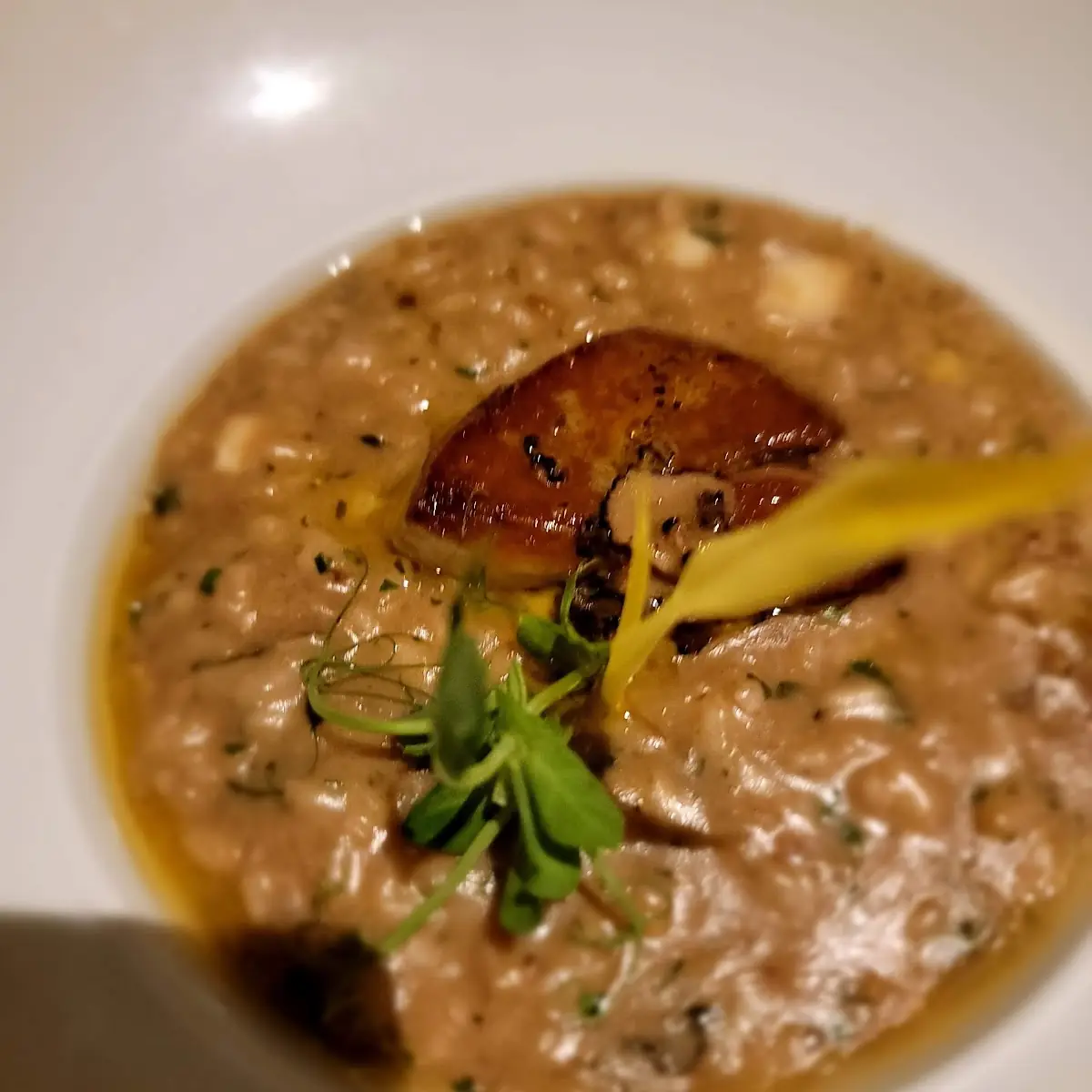Mushroom Risotto