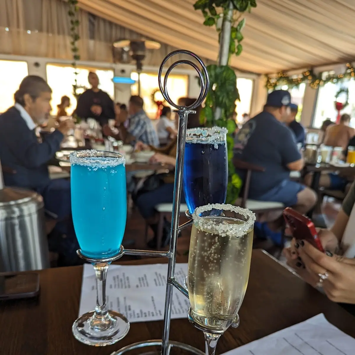 Mimosa Flight