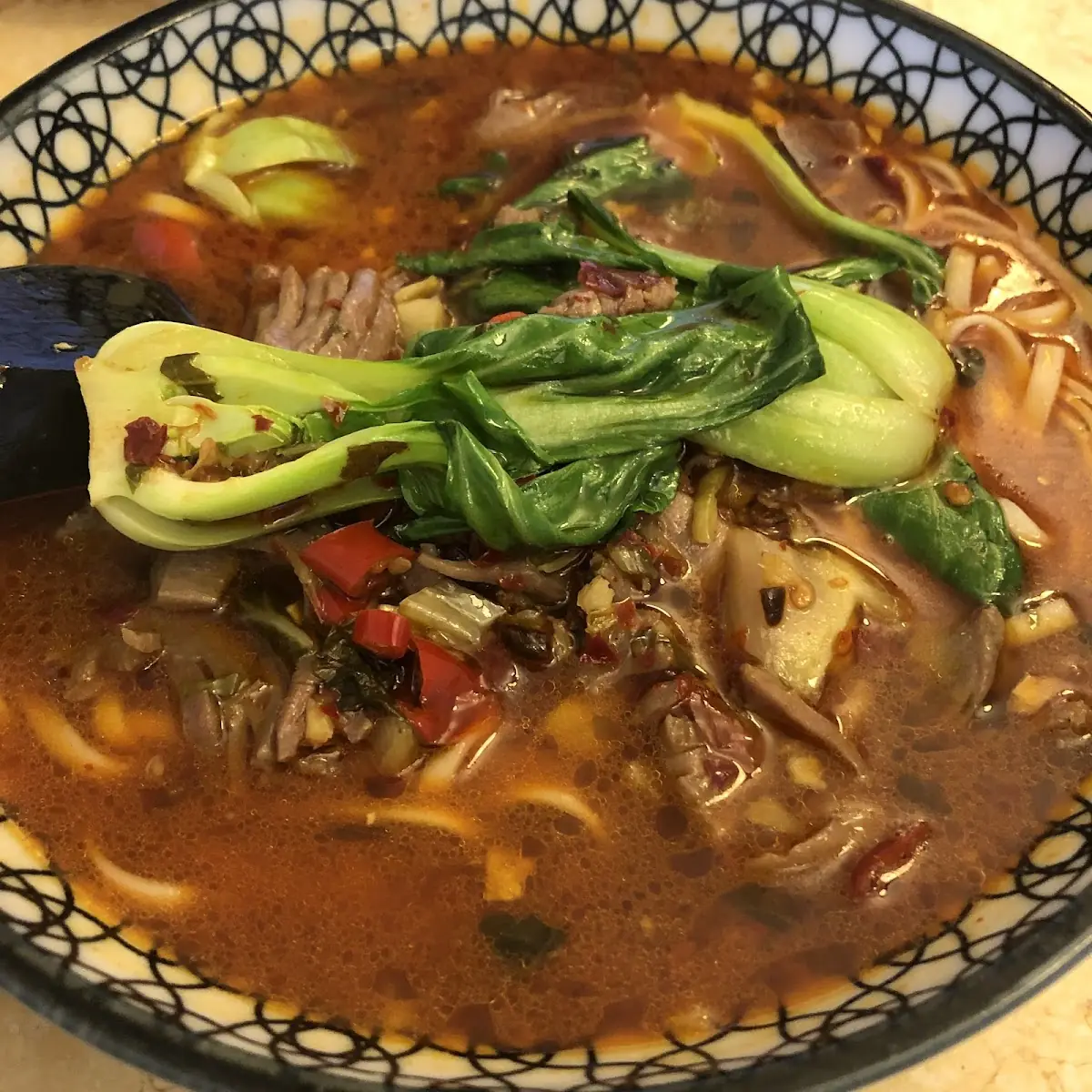 Beef Stew Noodle Szechuan Style