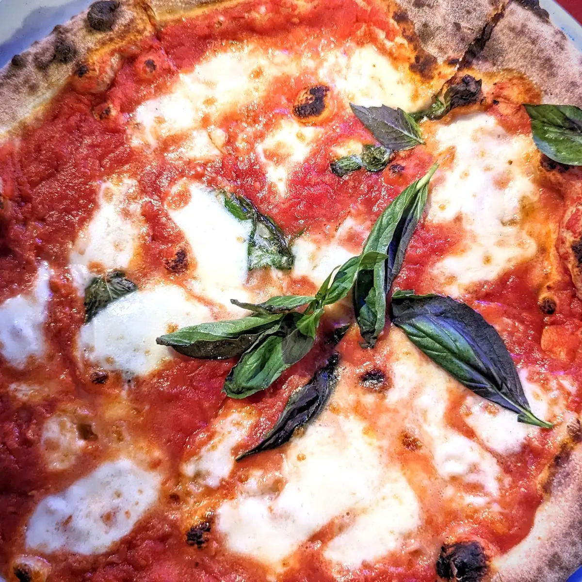 Margherita Pizza