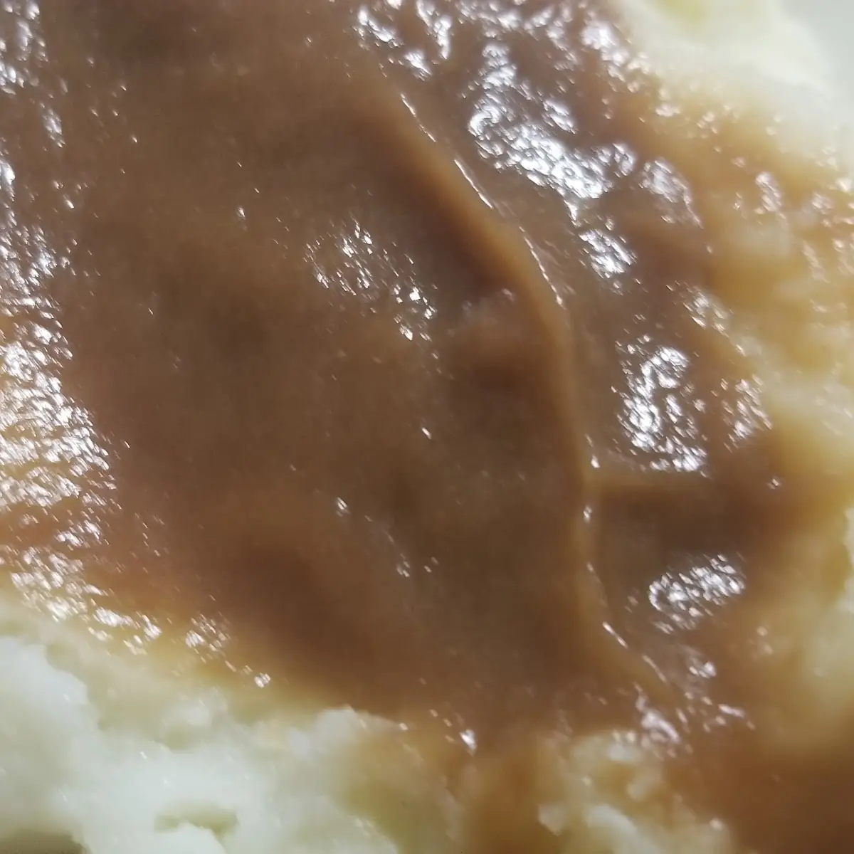 Mashed Potatoes and Gravy