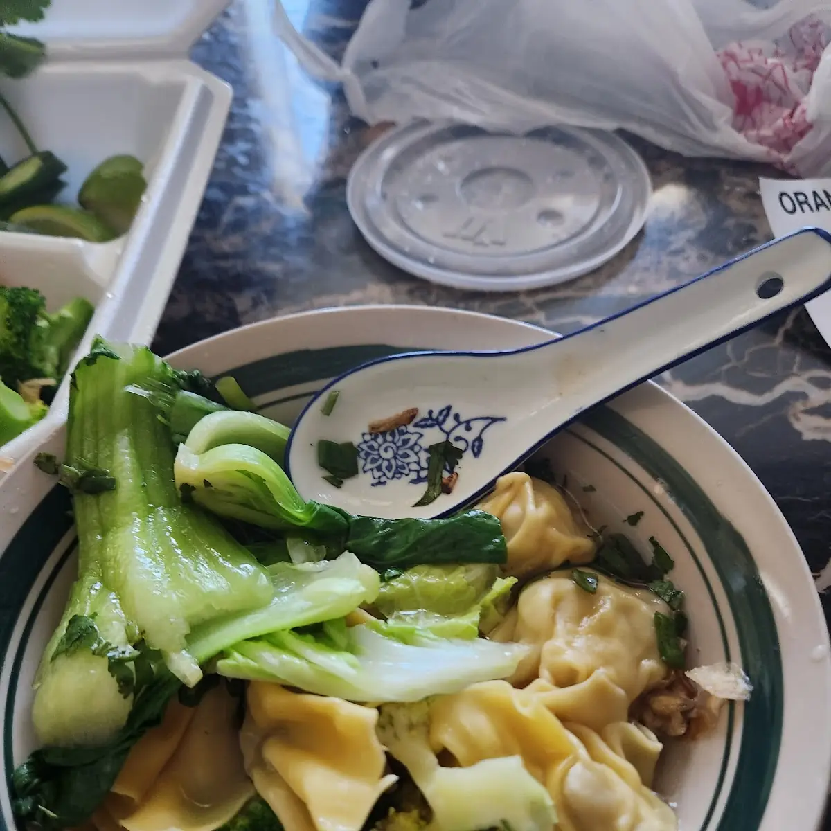 Egg Noodle Soup with Wonton