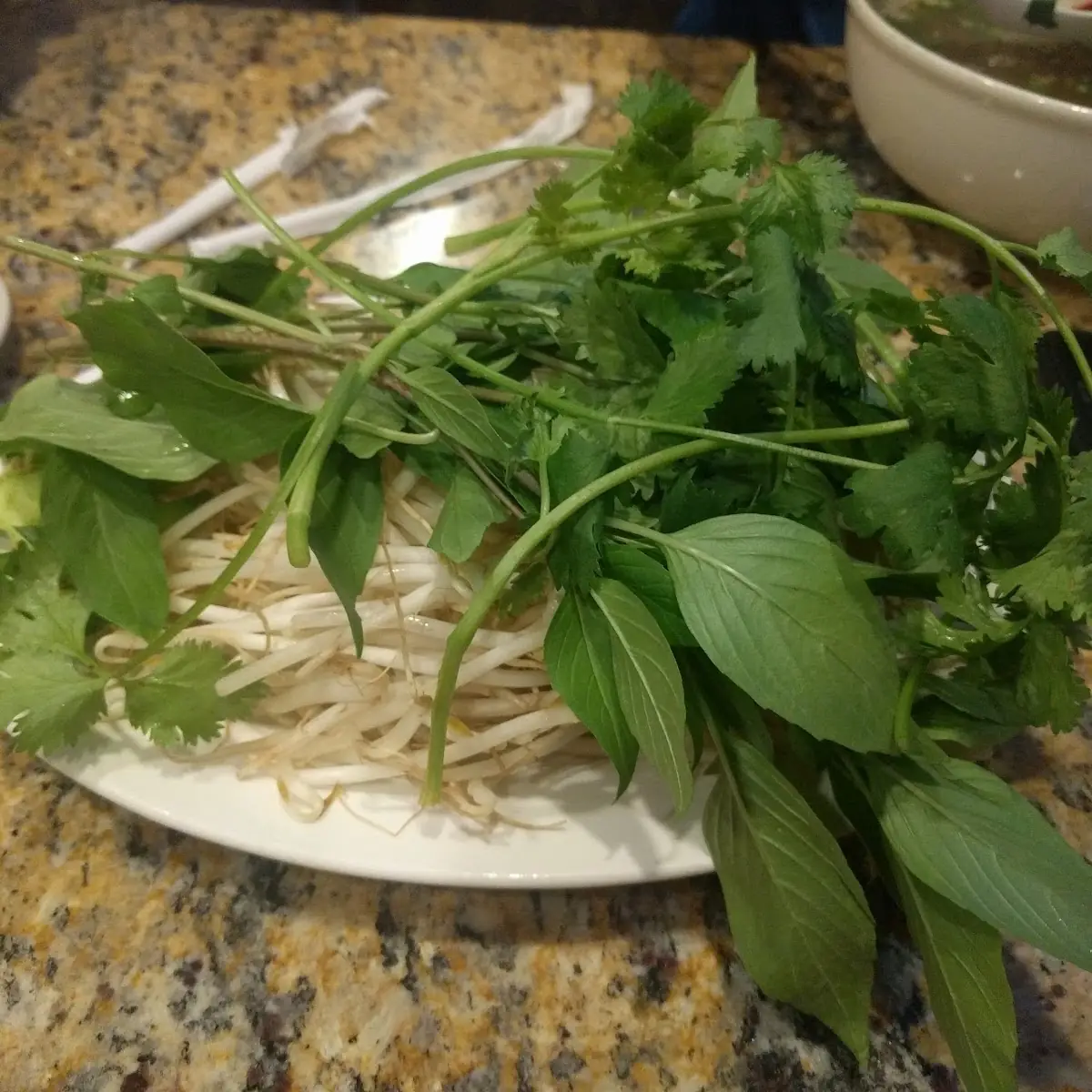 Pho Rau Veggie