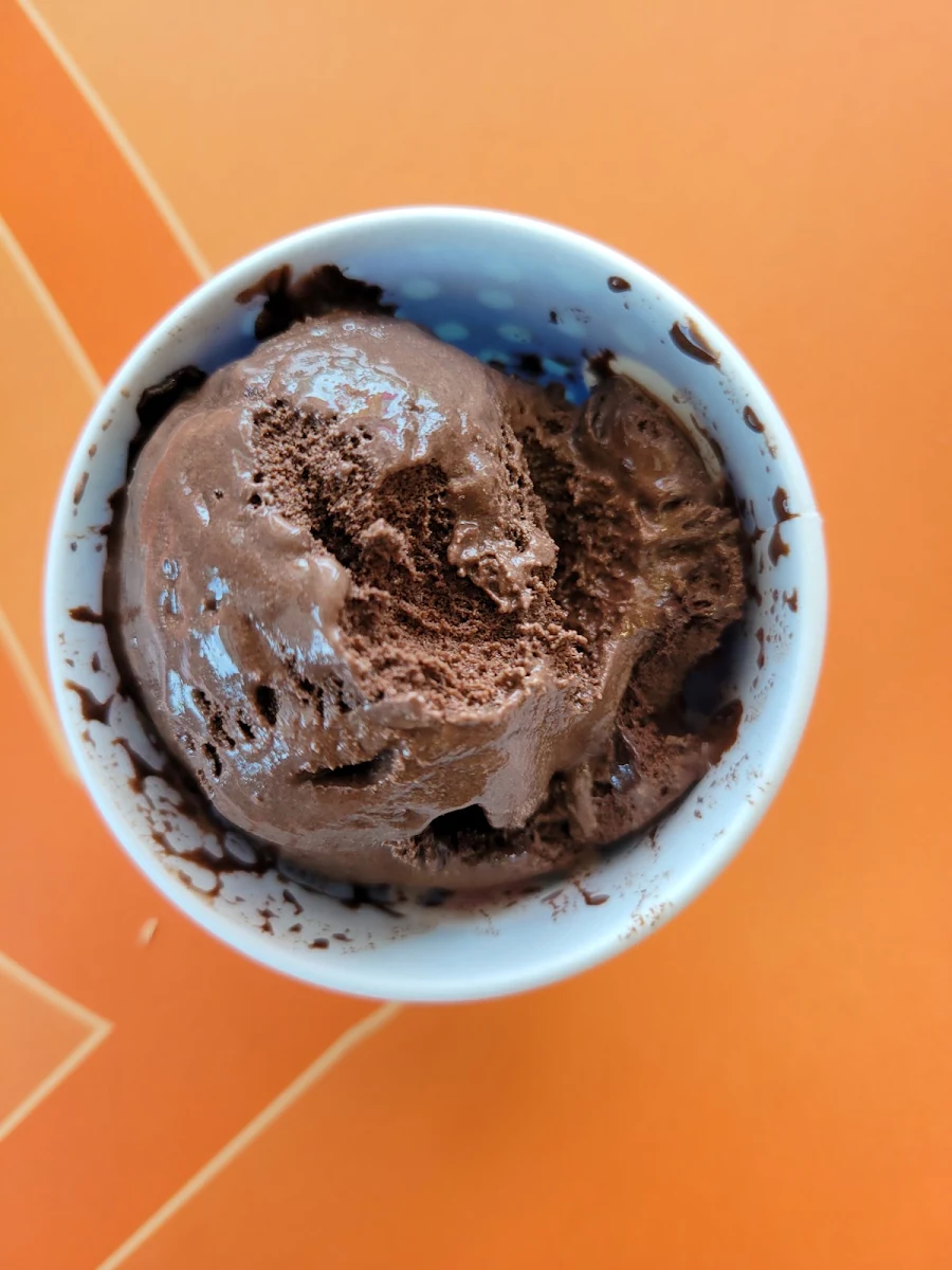 Lactose Free Chocolate Ice Cream