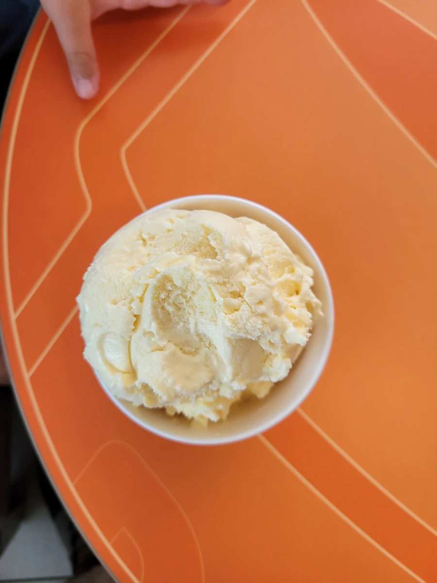 Vanilla Ice Cream