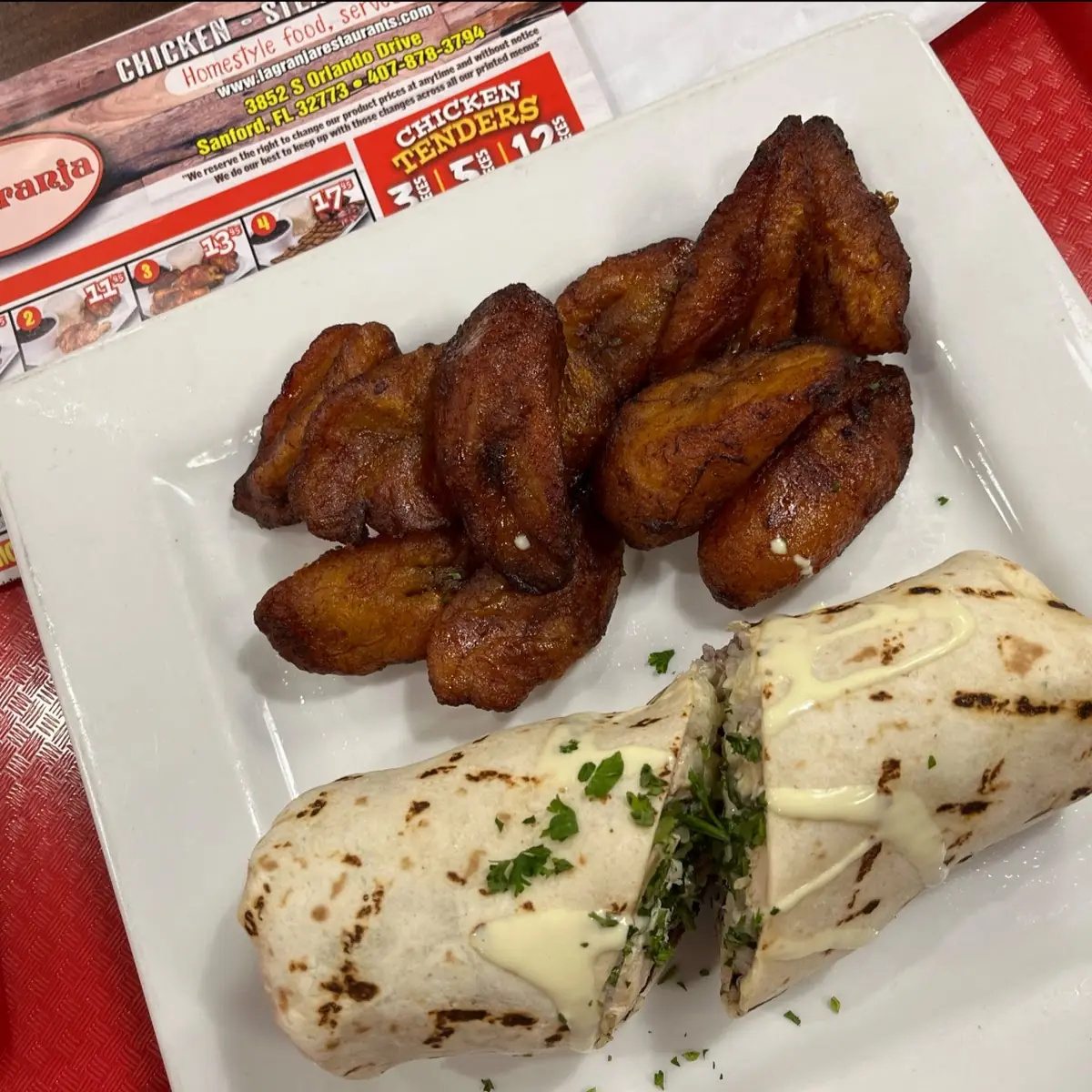 Chicken Wrap with Rice