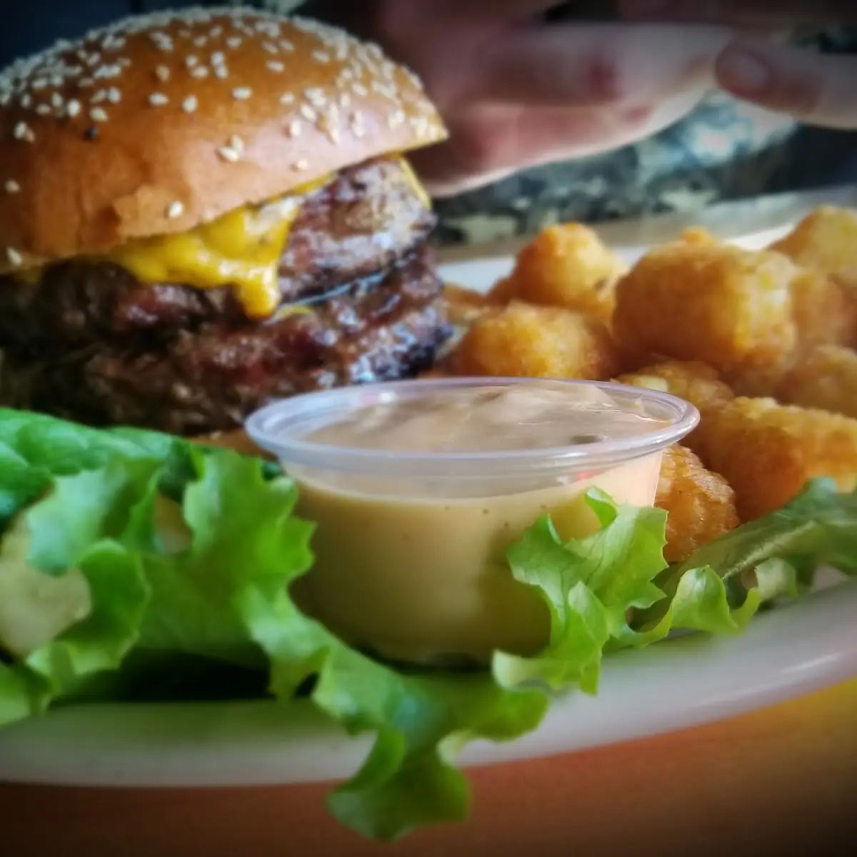 1 lb Burger and Tater Tots